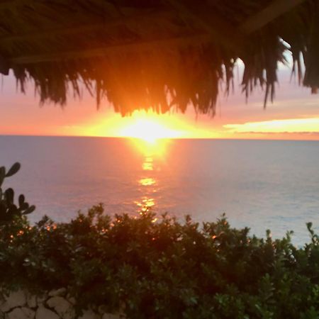 Stunning Ocean View Villa Negril Luaran gambar